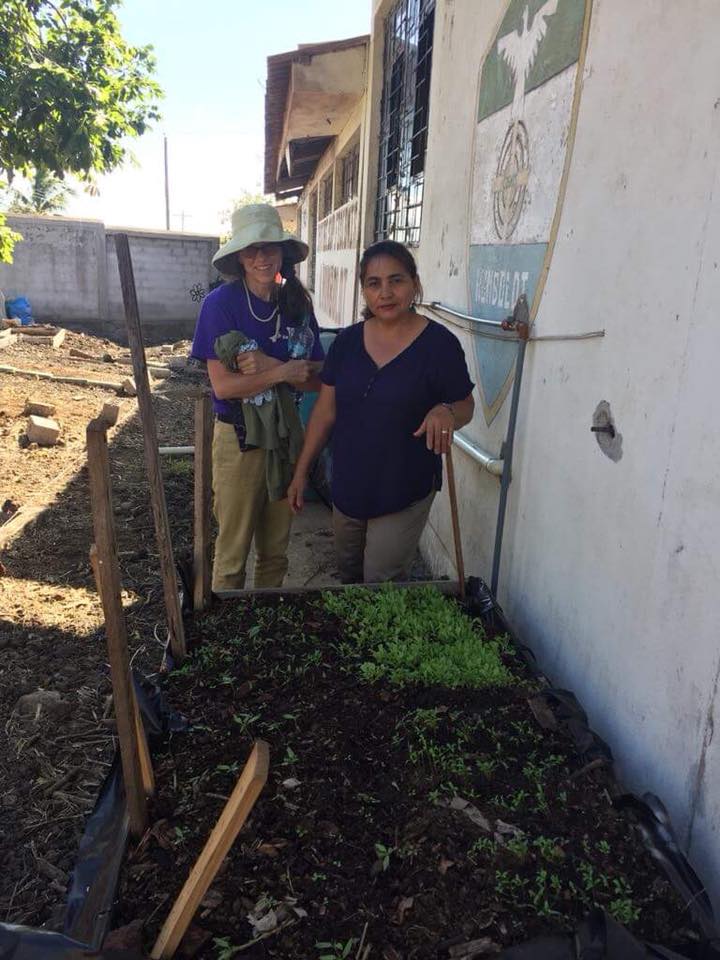 Volunteer Galapagos