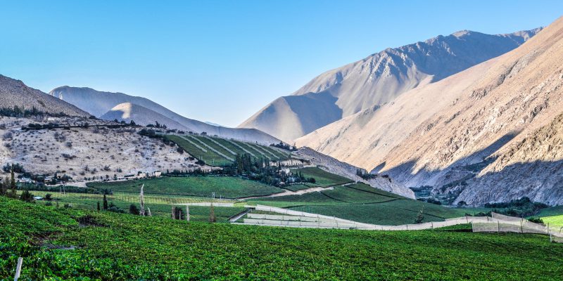 elqui valley