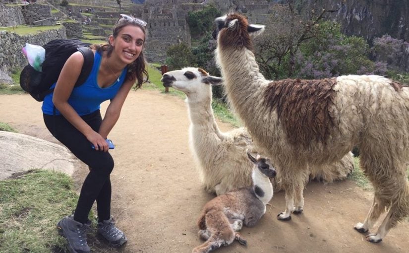 Volunteer in Peru Llama Love